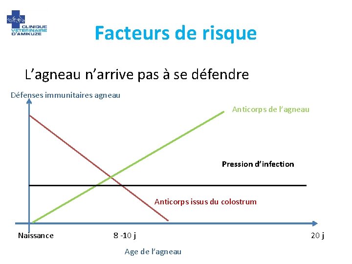 Facteurs de risque L’agneau n’arrive pas à se défendre Défenses immunitaires agneau Anticorps de