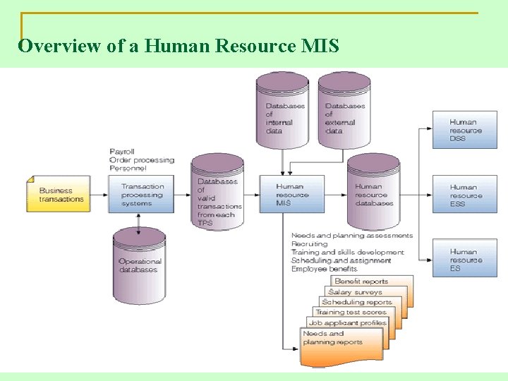 Overview of a Human Resource MIS 37 