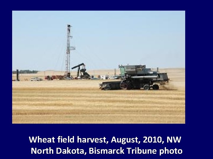 Wheat field harvest, August, 2010, NW North Dakota, Bismarck Tribune photo 