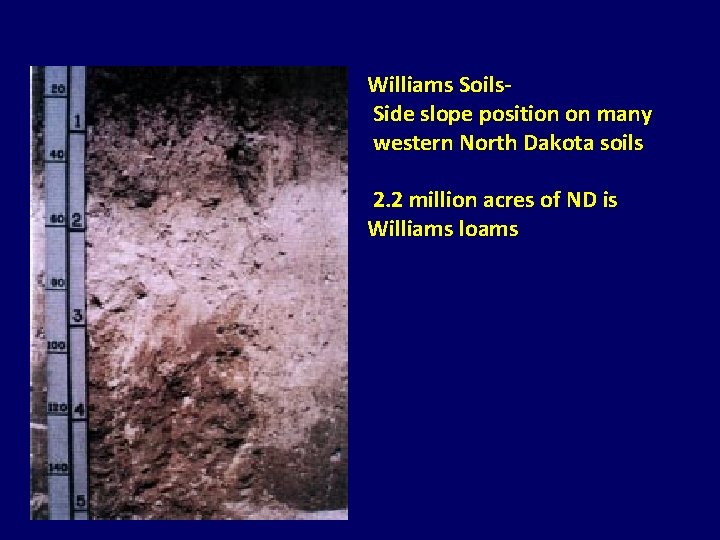 Williams Soils. Side slope position on many western North Dakota soils 2. 2 million