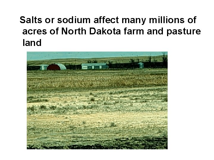 Salts or sodium affect many millions of acres of North Dakota farm and pasture