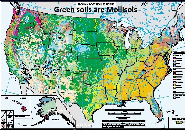 Green soils are Mollisols 