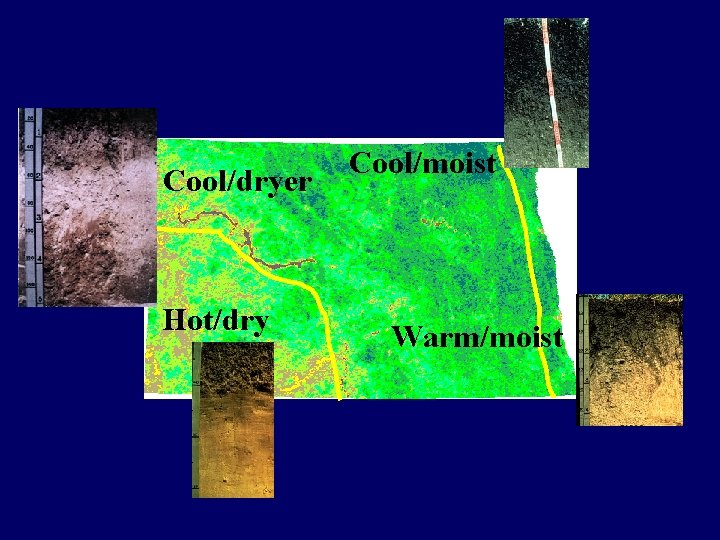 Cool/dryer Hot/dry Cool/moist Warm/moist 