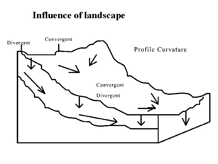 Influence of landscape 