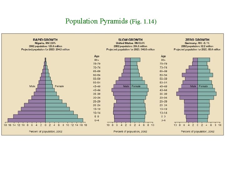 Population Pyramids (Fig. 1. 14) Population Pyramids 