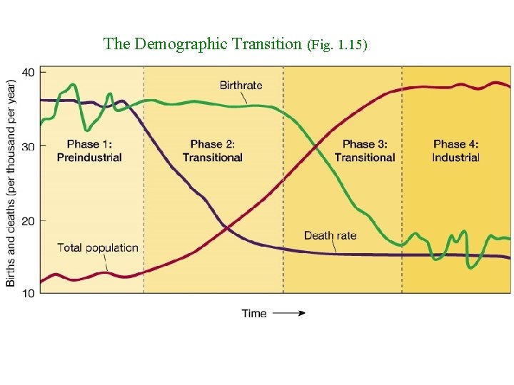 The Demographic Transition (Fig. 1. 15) Demographic Transition Model 