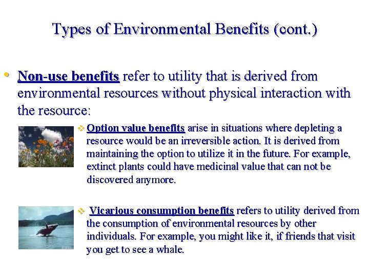Types of Environmental Benefits (cont. ) • Non-use benefits refer to utility that is