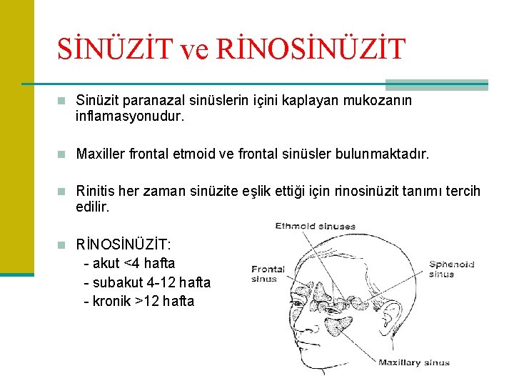 SİNÜZİT ve RİNOSİNÜZİT n Sinüzit paranazal sinüslerin içini kaplayan mukozanın inflamasyonudur. n Maxiller frontal
