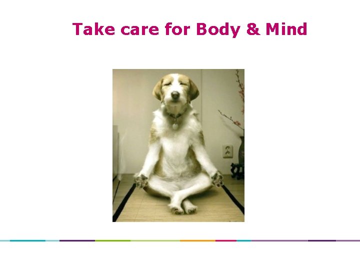 Take care for Body & Mind 