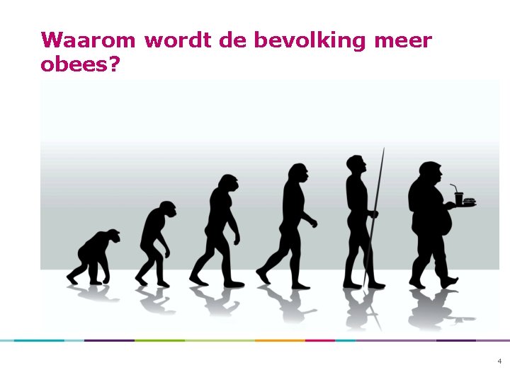 Waarom wordt de bevolking meer obees? 4 