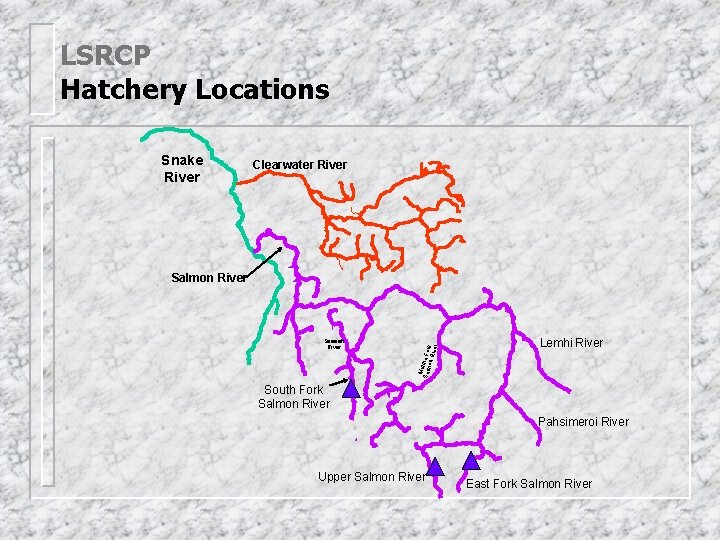LSRCP Hatchery Locations Snake River Clearwater River Sesesh River Mid Salm dle For on