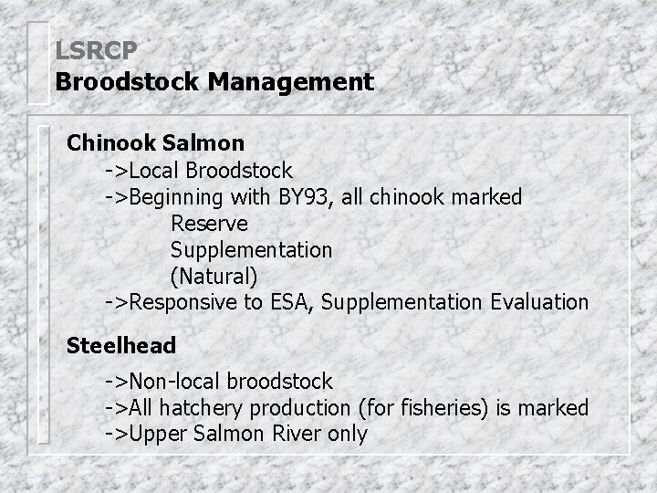 LSRCP Broodstock Management Chinook Salmon ->Local Broodstock ->Beginning with BY 93, all chinook marked