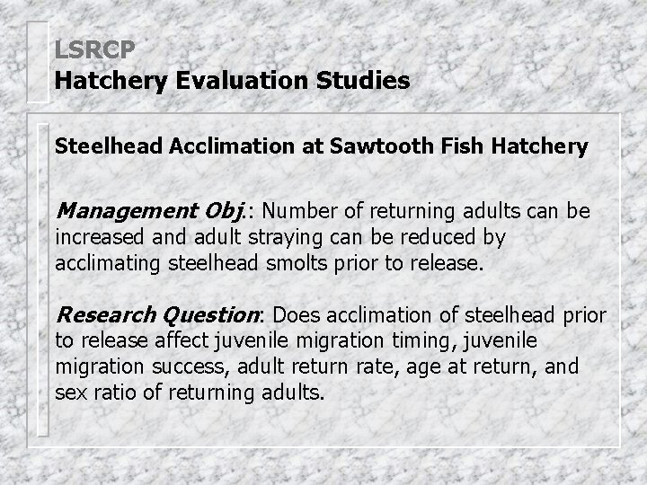 LSRCP Hatchery Evaluation Studies Steelhead Acclimation at Sawtooth Fish Hatchery Management Obj. : Number
