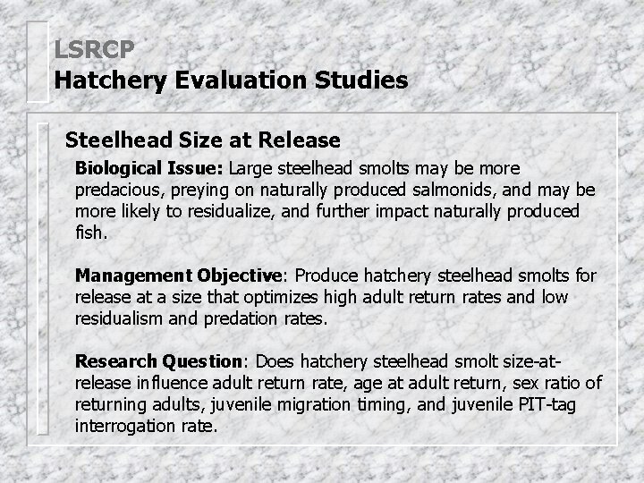 LSRCP Hatchery Evaluation Studies Steelhead Size at Release Biological Issue: Large steelhead smolts may