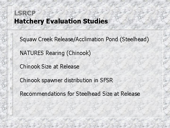 LSRCP Hatchery Evaluation Studies Squaw Creek Release/Acclimation Pond (Steelhead) NATURES Rearing (Chinook) Chinook Size