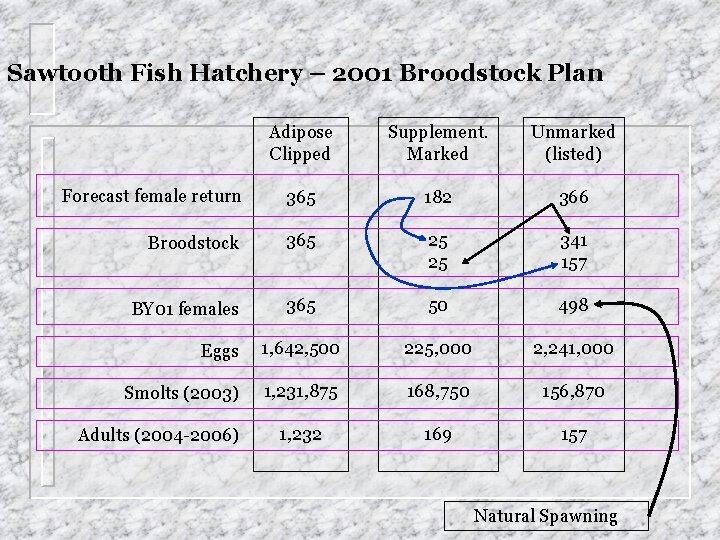 Sawtooth Fish Hatchery – 2001 Broodstock Plan Adipose Clipped Supplement. Marked Unmarked (listed) Forecast