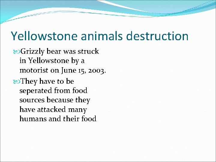 Yellowstone animals destruction Grizzly bear was struck in Yellowstone by a motorist on June