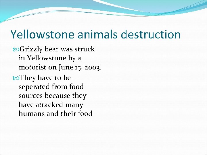 Yellowstone animals destruction Grizzly bear was struck in Yellowstone by a motorist on June