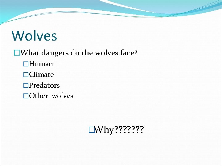 Wolves �What dangers do the wolves face? �Human �Climate �Predators �Other wolves �Why? ?
