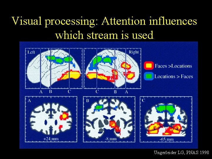 Visual processing: Attention influences which stream is used Ungerleider LG, PNAS 1998 