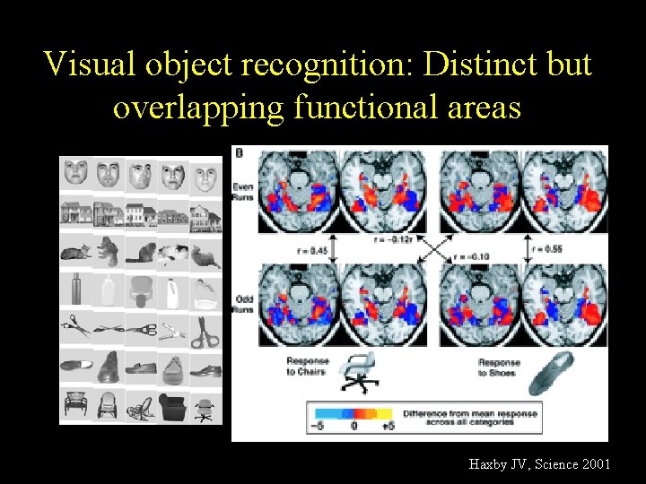 Visual object recognition: Distinct but overlapping functional areas Haxby JV, Science 2001 