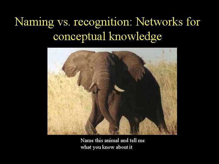 Naming vs. recognition: Networks for conceptual knowledge Name this animal and tell me what