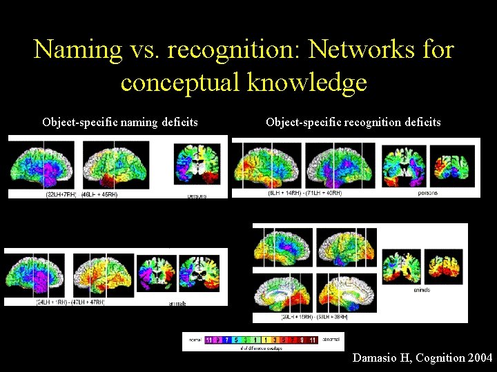 Naming vs. recognition: Networks for conceptual knowledge Object-specific naming deficits Object-specific recognition deficits Damasio
