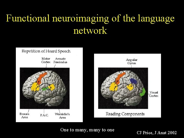 Functional neuroimaging of the language network One to many, many to one CJ Price,