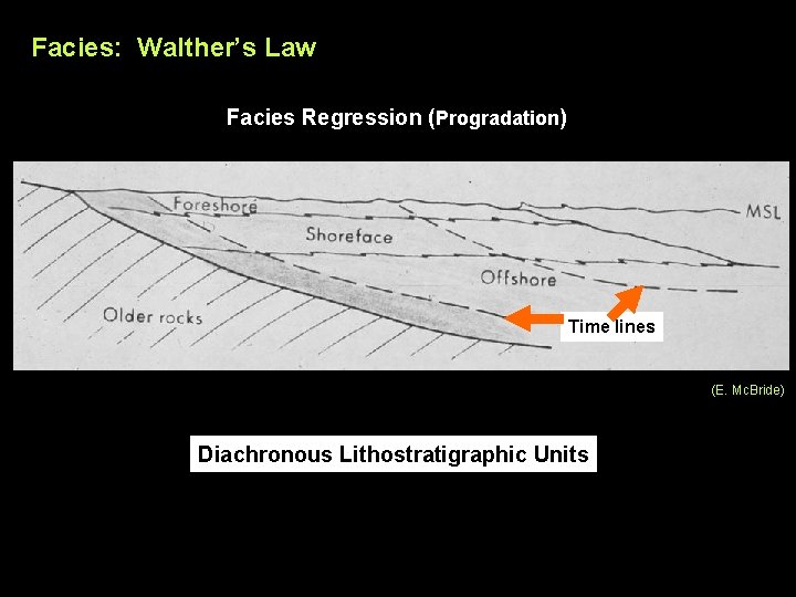 Facies: Walther’s Law Facies Regression (Progradation) Time lines (E. Mc. Bride) Diachronous Lithostratigraphic Units