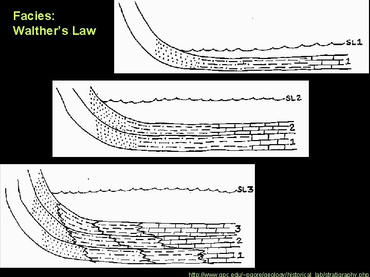 Facies: Walther’s Law http: //www. gpc. edu/~pgore/geology/historical_lab/stratigraphy. php 