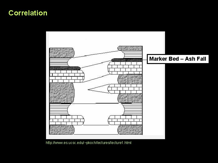Correlation Marker Bed – Ash Fall http: //www. es. ucsc. edu/~pkoch/lectures/lecture 1. html 