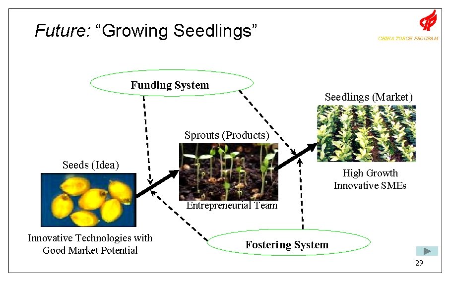 Future: “Growing Seedlings” Funding System CHINA TORCH PROGRAM Seedlings (Market) Sprouts (Products) Seeds (Idea)