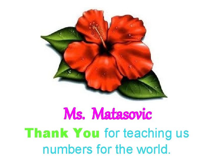 Ms. Matasovic Thank You for teaching us numbers for the world. 