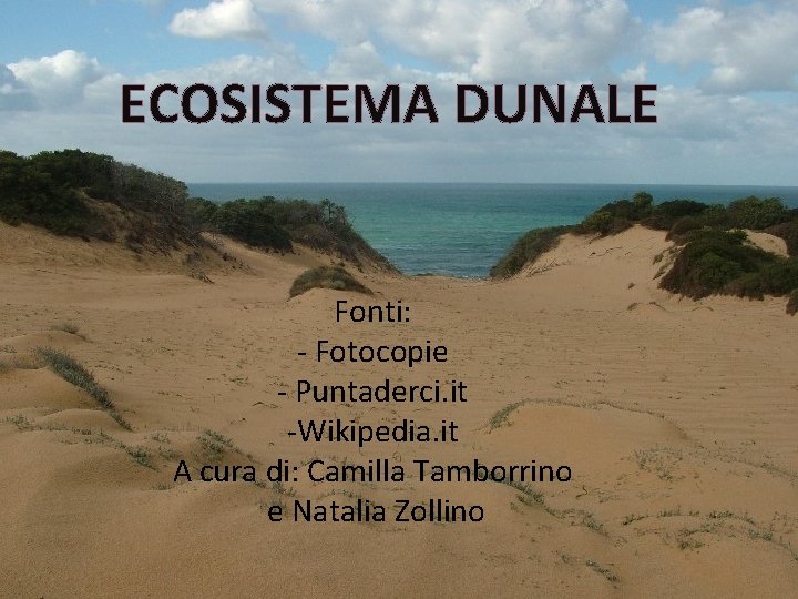 ECOSISTEMA DUNALE Fonti: - Fotocopie - Puntaderci. it -Wikipedia. it A cura di: Camilla