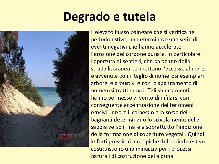 Degrado e tutela • L’elevato flusso balneare che si verifica nel periodo estivo, ha