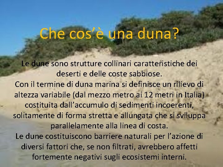 Che cos’è una duna? Le dune sono strutture collinari caratteristiche dei deserti e delle