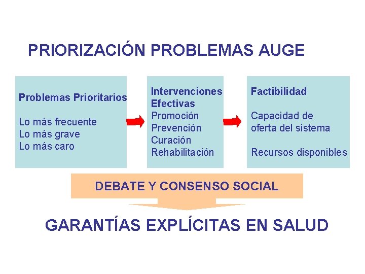 PRIORIZACIÓN PROBLEMAS AUGE Problemas Prioritarios Lo más frecuente Lo más grave Lo más caro