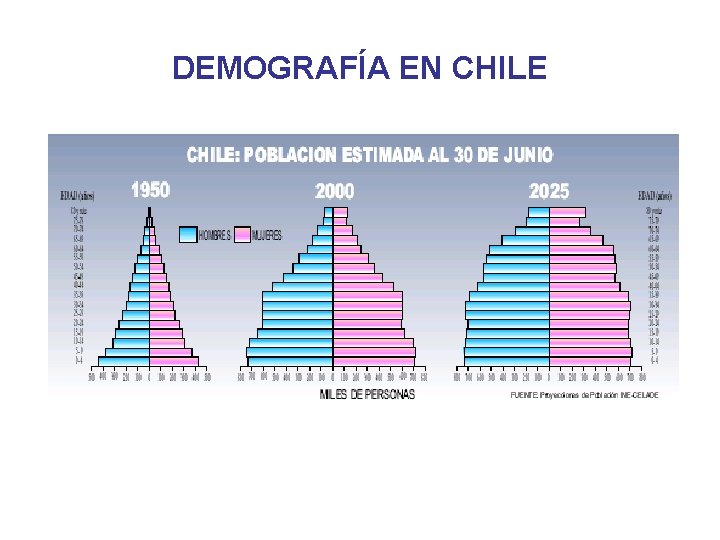 DEMOGRAFÍA EN CHILE 