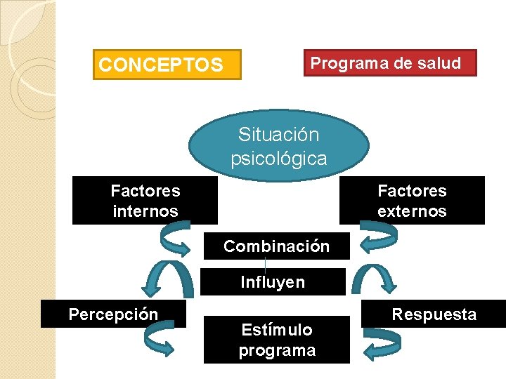 Programa de salud CONCEPTOS Situación psicológica Factores internos Factores externos Combinación Influyen Percepción Estímulo