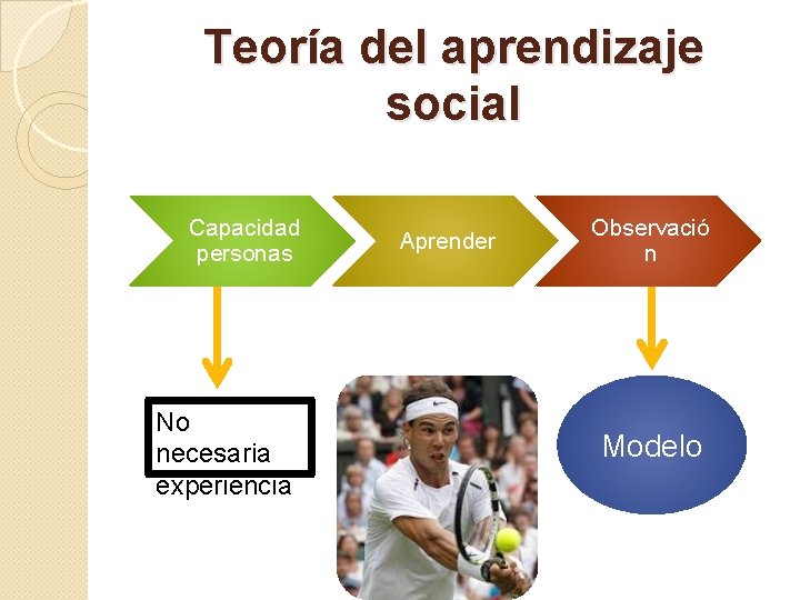 Teoría del aprendizaje social Capacidad personas No necesaria experiencia Aprender Observació n Modelo 