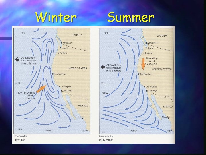 Winter Summer Winter Summer
