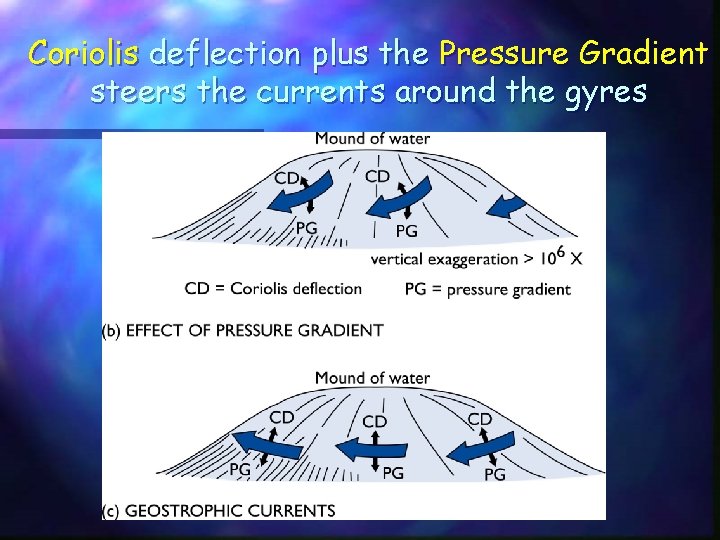 Coriolis deflection plus the Pressure Gradient steers the currents around the gyres Coriolis deflection plus the Pressure Gradient steers the currents around the gyres