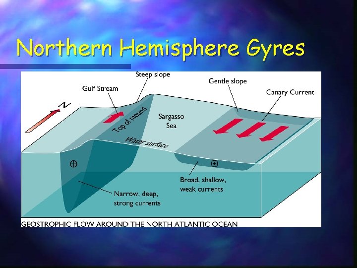 Northern Hemisphere Gyres Northern Hemisphere Gyres