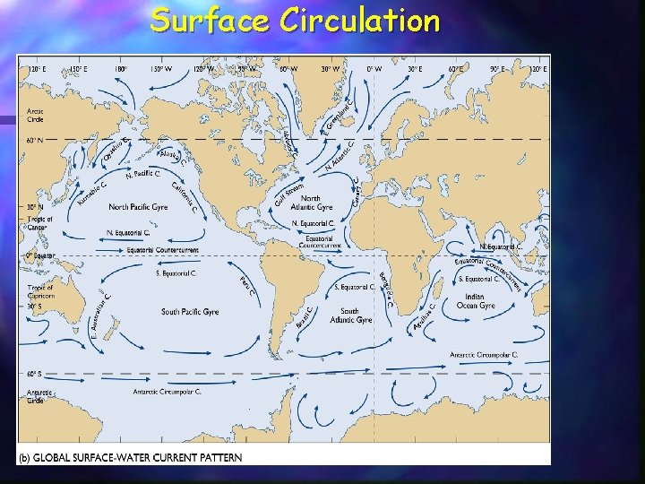 Surface Circulation Surface Circulation