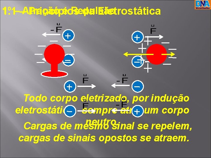 1º e Repulsão 1. 1––Atração Princípios da Eletrostática Todo corpo eletrizado, por indução eletrostática, 1º e Repulsão 1. 1––Atração Princípios da Eletrostática Todo corpo eletrizado, por indução eletrostática,