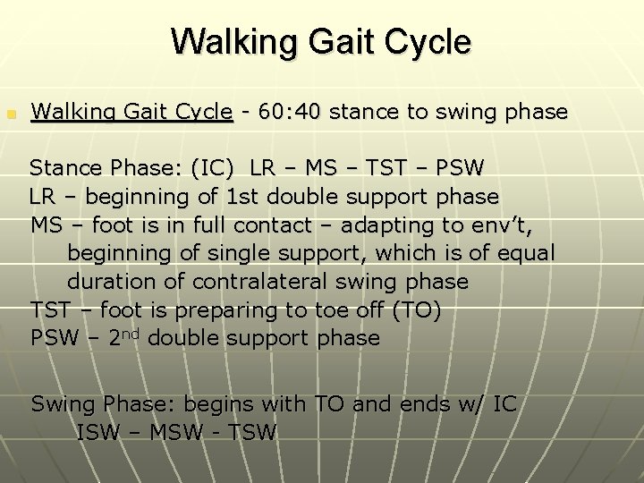 Walking Gait Cycle n Walking Gait Cycle - 60: 40 stance to swing phase