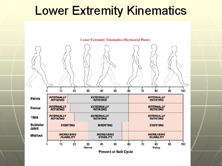 Lower Extremity Kinematics 