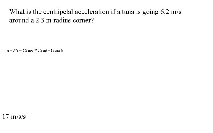 What is the centripetal acceleration if a tuna is going 6. 2 m/s around