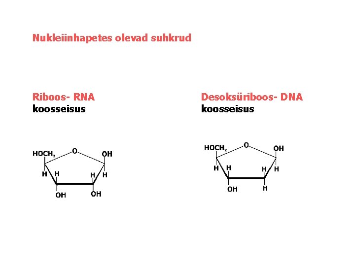 Nukleiinhapetes olevad suhkrud Riboos- RNA koosseisus Desoksüriboos- DNA koosseisus 