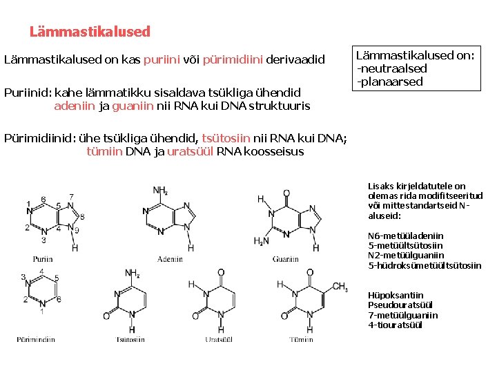 Lämmastikalused on kas puriini või pürimidiini derivaadid Puriinid: kahe lämmatikku sisaldava tsükliga ühendid adeniin